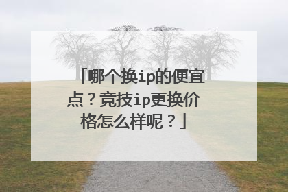 哪个换ip的便宜点?竞技ip更换价格怎么样呢?