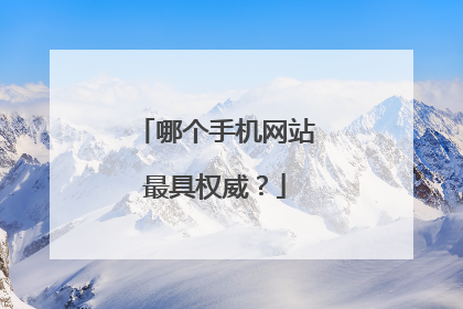 哪个手机网站最具权威?