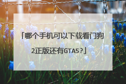 哪个手机可以下载看门狗2正版还有GTA5?