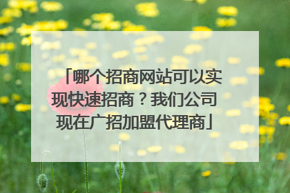 哪个招商网站可以实现快速招商？我们公司现在广招加盟代理商