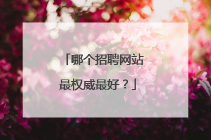 哪个招聘网站最权威最好?
