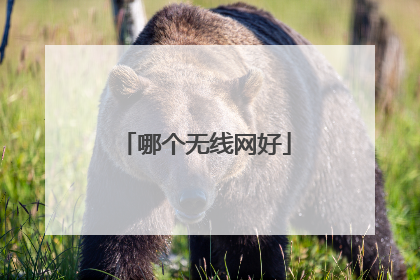 哪个无线网好