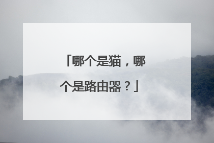 哪个是猫,哪个是路由器?