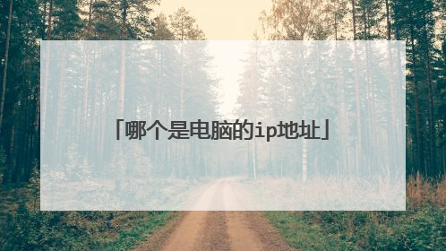 哪个是电脑的ip地址