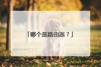 哪个是路由器？