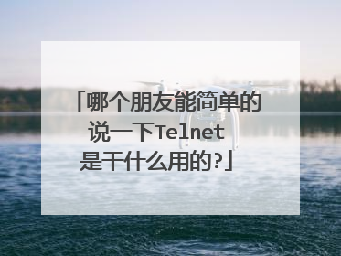 哪个朋友能简单的说一下Telnet是干什么用的?