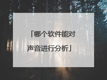 哪个软件能对声音进行分析