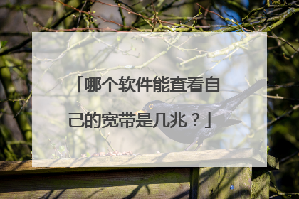 哪个软件能查看自己的宽带是几兆?