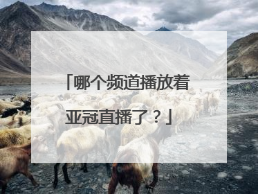 哪个频道播放着亚冠直播了?