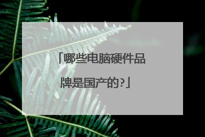 哪些电脑硬件品牌是国产的?