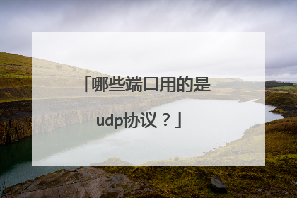 哪些端口用的是udp协议？