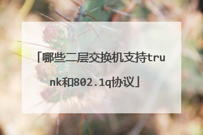 哪些二层交换机支持trunk和802.1q协议