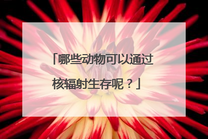 哪些动物可以通过核辐射生存呢?