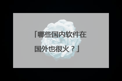 哪些国内软件在国外也很火?