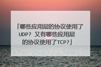 哪些应用层的协议使用了UDP? 又有哪些应用层的协议使用了TCP?