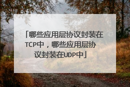 哪些应用层协议封装在TCP中,哪些应用层协议封装在UDP中