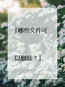 哪些文件可以删除?