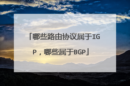 哪些路由协议属于IGP,哪些属于BGP