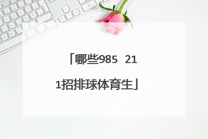 哪些985 211招排球体育生