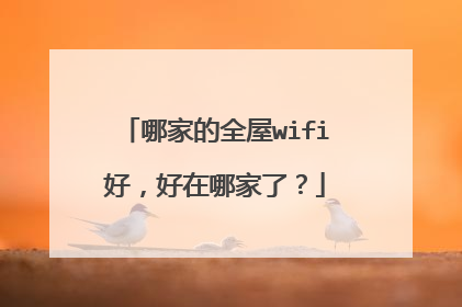 哪家的全屋wifi好，好在哪家了？