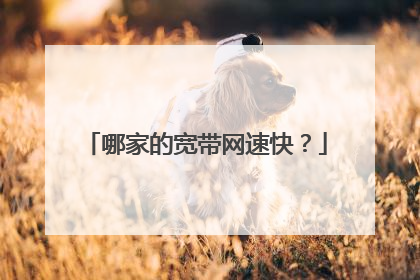 哪家的宽带网速快？