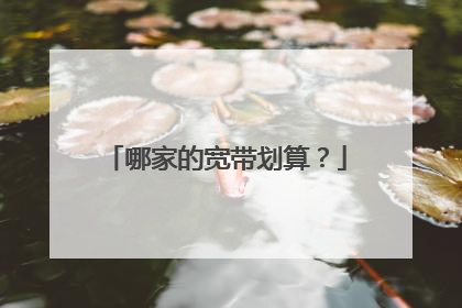 哪家的宽带划算?