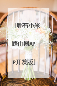 哪有小米路由器APP开发版