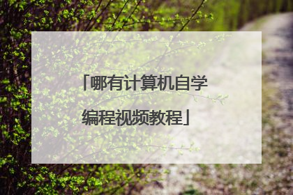 哪有计算机自学编程视频教程