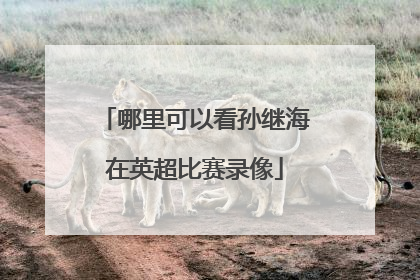 哪里可以看孙继海在英超比赛录像