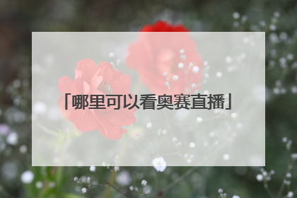 哪里可以看奥赛直播