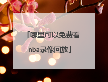 哪里可以免费看nba录像回放