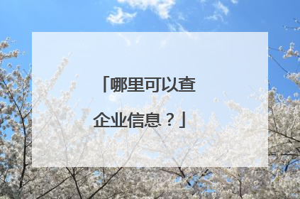 哪里可以查企业信息？