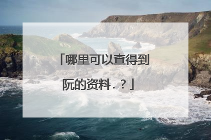 哪里可以查得到阮的资料.？