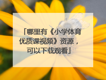 哪里有《小学体育优质课视频》资源，可以下载观看