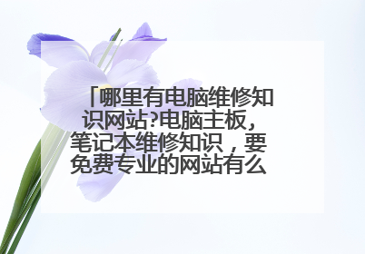 哪里有电脑维修知识网站?电脑主板,笔记本维修知识,要免费专业的网站有么?学个技能