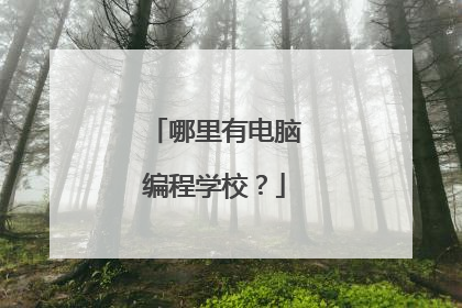 哪里有电脑编程学校?