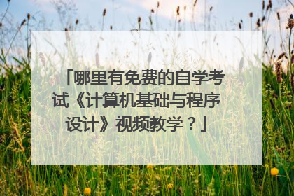 哪里有免费的自学考试《计算机基础与程序设计》视频教学?