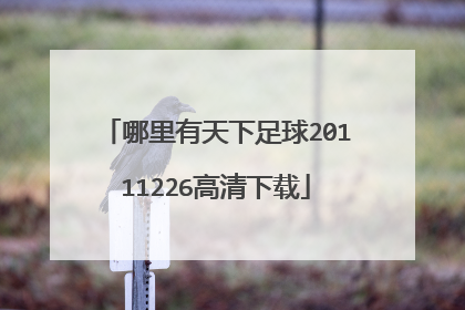哪里有天下足球20111226高清下载