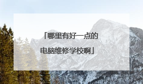 哪里有好一点的电脑维修学校啊