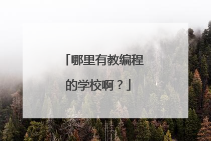 哪里有教编程的学校啊?