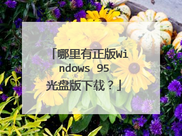 哪里有正版Windows 95光盘版下载?