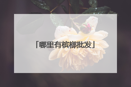 哪里有槟榔批发