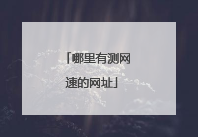 哪里有测网速的网址