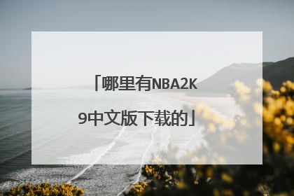 哪里有NBA2K9中文版下载的