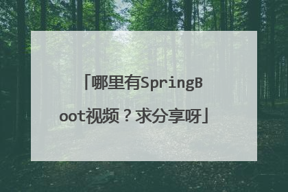 哪里有SpringBoot视频？求分享呀