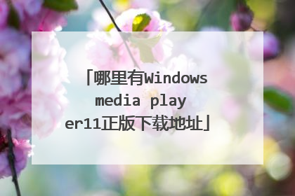 哪里有Windows media player11正版下载地址