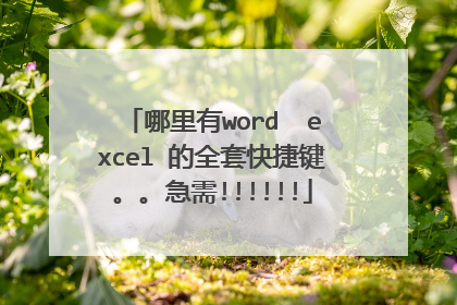 哪里有word  excel 的全套快捷键。。急需!!!!!!