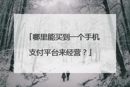 哪里能买到一个手机支付平台来经营?