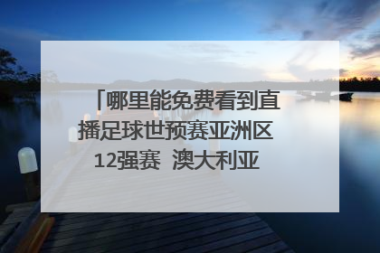 哪里能免费看到直播足球世预赛亚洲区12强赛 澳大利亚对日本和伊朗对韩国 这两场比赛？