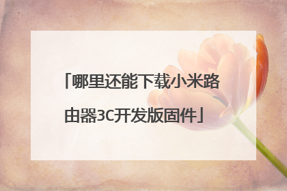 哪里还能下载小米路由器3C开发版固件
